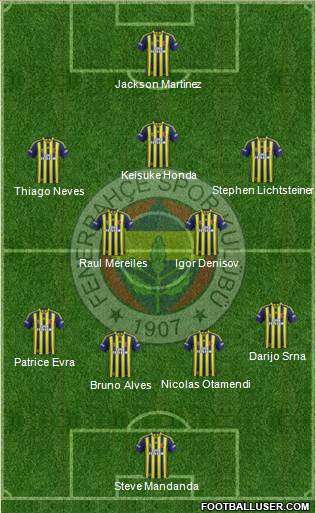 Fenerbahçe SK Formation 2014