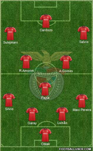 Sport Lisboa e Benfica - SAD Formation 2014