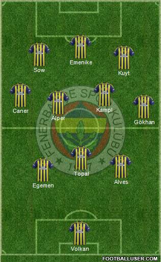 Fenerbahçe SK Formation 2014
