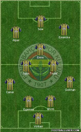 Fenerbahçe SK Formation 2014