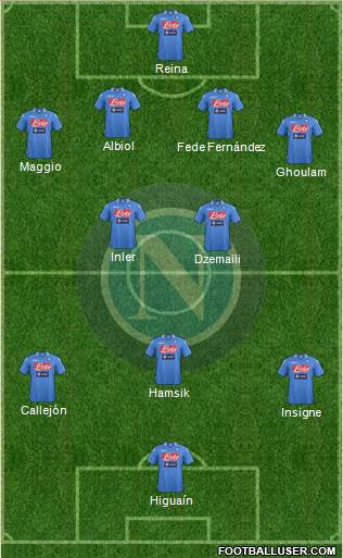 Napoli Formation 2014