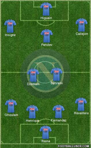 Napoli Formation 2014