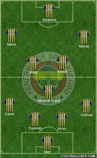 Fenerbahçe SK Formation 2014