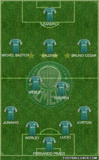 SE Palmeiras Formation 2014