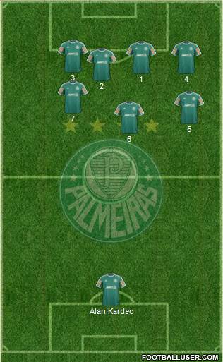 SE Palmeiras Formation 2014