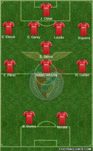 Sport Lisboa e Benfica - SAD Formation 2014