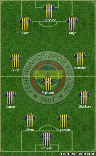 Fenerbahçe SK Formation 2014