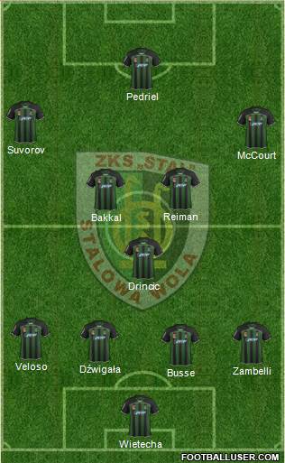 Stal Stalowa Wola Formation 2014
