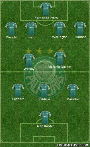 SE Palmeiras Formation 2014