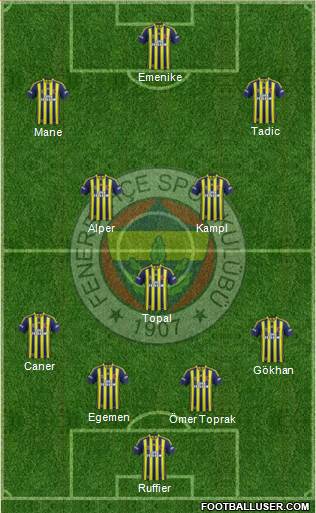 Fenerbahçe SK Formation 2014