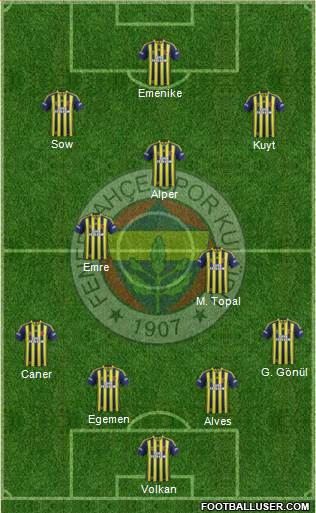 Fenerbahçe SK Formation 2014