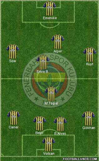 Fenerbahçe SK Formation 2014