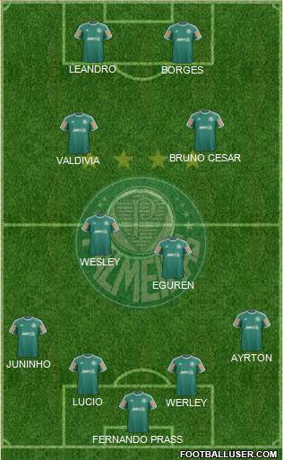 SE Palmeiras Formation 2014