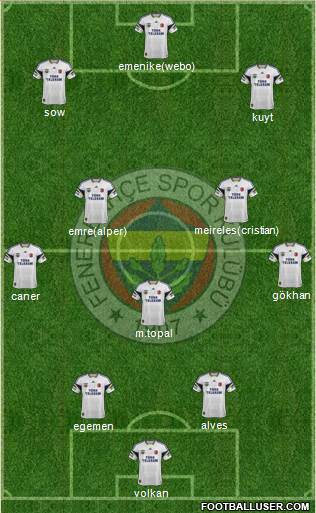 Fenerbahçe SK Formation 2014