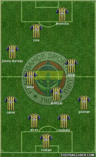 Fenerbahçe SK Formation 2014