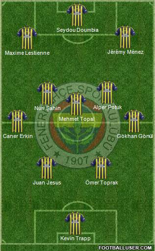 Fenerbahçe SK Formation 2014