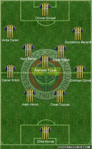 Fenerbahçe SK Formation 2014