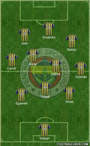 Fenerbahçe SK Formation 2014