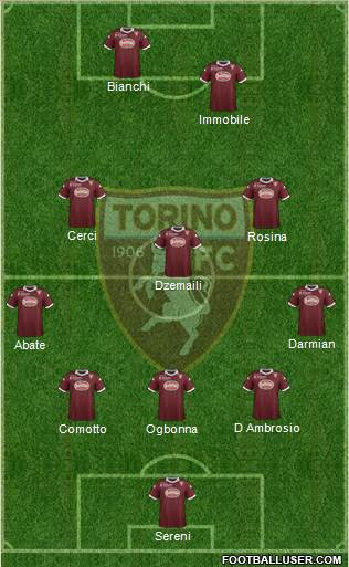 Torino Formation 2014