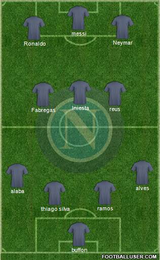 Napoli Formation 2014