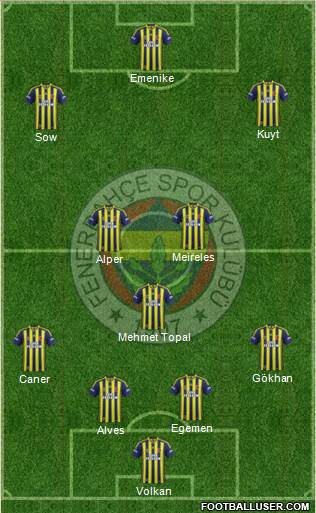 Fenerbahçe SK Formation 2014