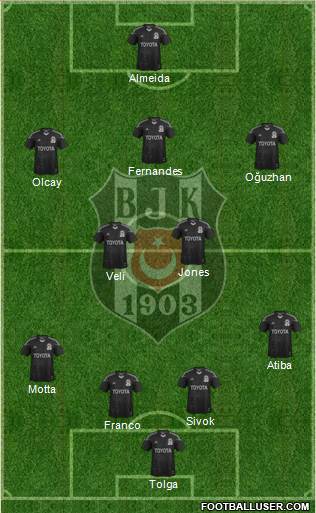 Besiktas JK Formation 2014