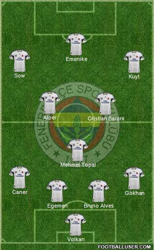 Fenerbahçe SK Formation 2014
