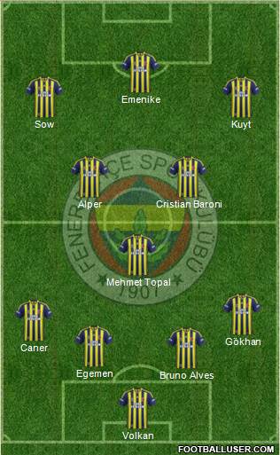 Fenerbahçe SK Formation 2014