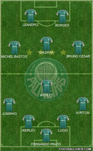 SE Palmeiras Formation 2014