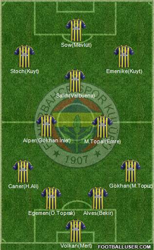 Fenerbahçe SK Formation 2014
