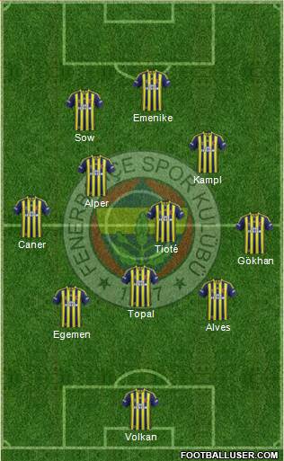 Fenerbahçe SK Formation 2014