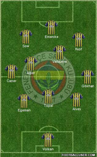 Fenerbahçe SK Formation 2014