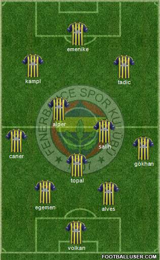 Fenerbahçe SK Formation 2014