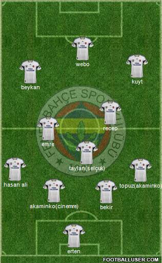 Fenerbahçe SK Formation 2014
