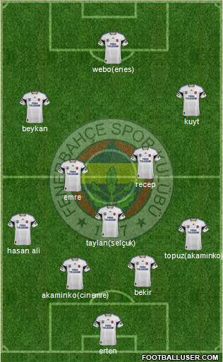 Fenerbahçe SK Formation 2014