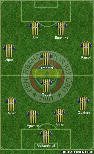 Fenerbahçe SK Formation 2014