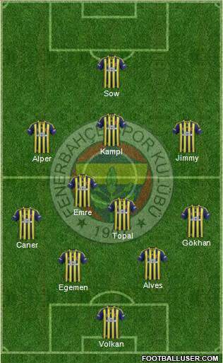 Fenerbahçe SK Formation 2014