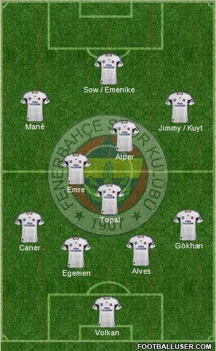 Fenerbahçe SK Formation 2014