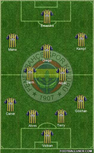 Fenerbahçe SK Formation 2014