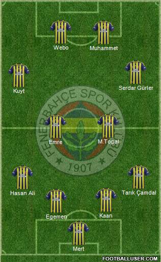 Fenerbahçe SK Formation 2014