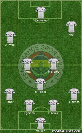 Fenerbahçe SK Formation 2014