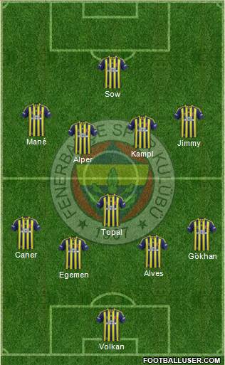 Fenerbahçe SK Formation 2014