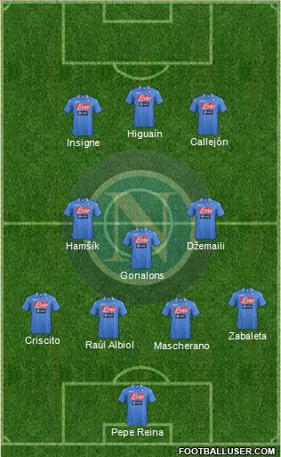 Napoli Formation 2014