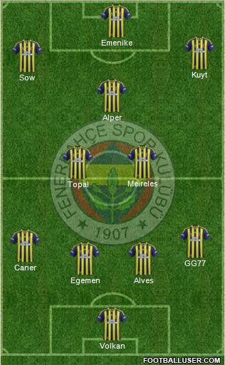 Fenerbahçe SK Formation 2014