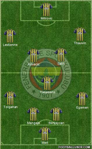 Fenerbahçe SK Formation 2014