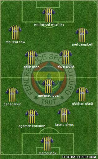 Fenerbahçe SK Formation 2014