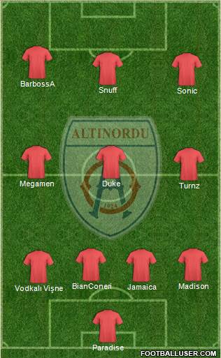 Altinordu Formation 2014