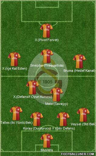 Galatasaray SK Formation 2014