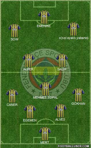 Fenerbahçe SK Formation 2014