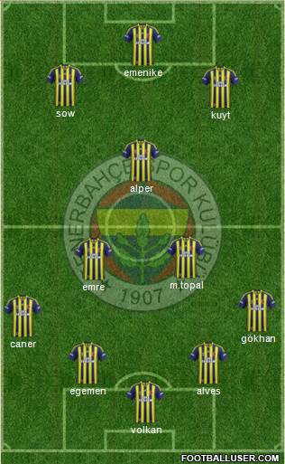 Fenerbahçe SK Formation 2014